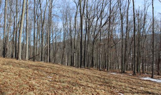 Photo #5 of TBD DOGWOOD DR, MONTEREY, VA 5.4 acres