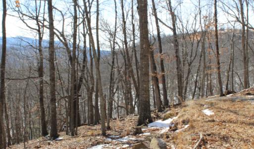 Photo #15 of TBD DOGWOOD DR, MONTEREY, VA 5.4 acres