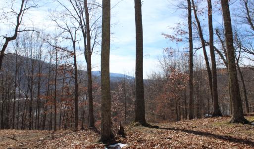 Photo #7 of TBD DOGWOOD DR, MONTEREY, VA 5.4 acres