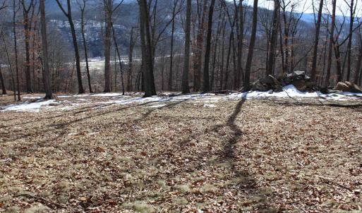 Photo #22 of TBD DOGWOOD DR, MONTEREY, VA 5.4 acres