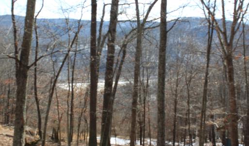 Photo #14 of TBD DOGWOOD DR, MONTEREY, VA 5.4 acres