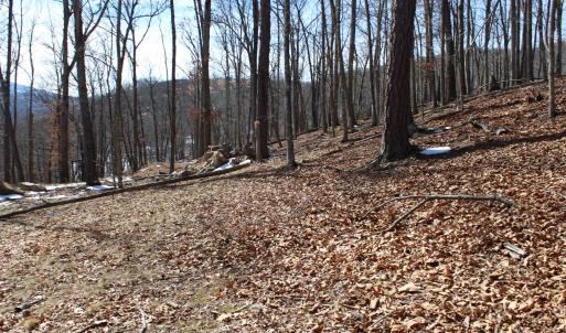 Photo #4 of TBD DOGWOOD DR, MONTEREY, VA 5.4 acres