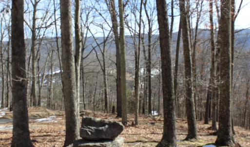 Photo #11 of TBD DOGWOOD DR, MONTEREY, VA 5.4 acres