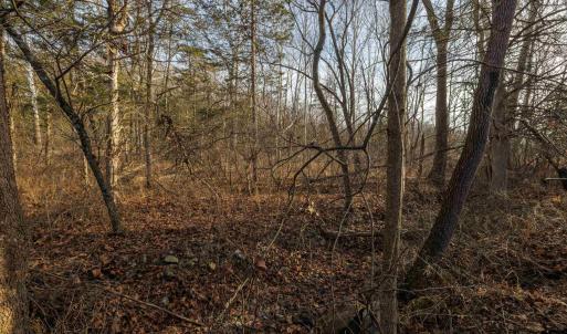 Photo #19 of TBD MOUNTAIN VALLEY RD, KEEZLETOWN, VA 1.8 acres