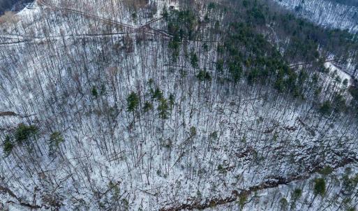 Photo #11 of Lot 9 OVERLOOK MOUNTAIN RD, ELKTON, VA 2.9 acres