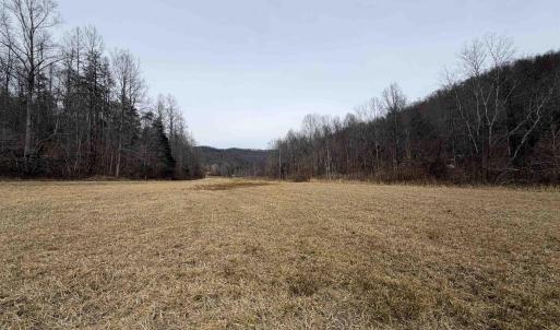 Photo #30 of PERKINS HOLLOW LN, FABER, VA 42.7 acres