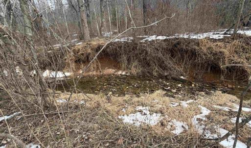 Photo #33 of PERKINS HOLLOW LN, FABER, VA 42.7 acres