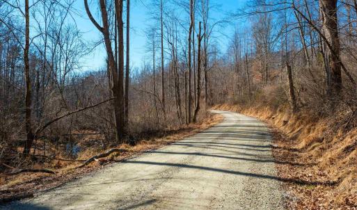 Photo #6 of PERKINS HOLLOW LN, FABER, VA 42.7 acres