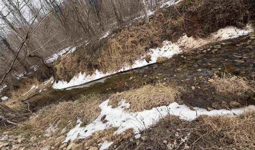 Photo #34 of PERKINS HOLLOW LN, FABER, VA 42.7 acres