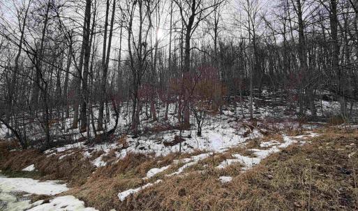 Photo #28 of PERKINS HOLLOW LN, FABER, VA 42.7 acres