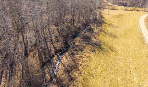 Photo #5 of PERKINS HOLLOW LN, FABER, VA 42.7 acres