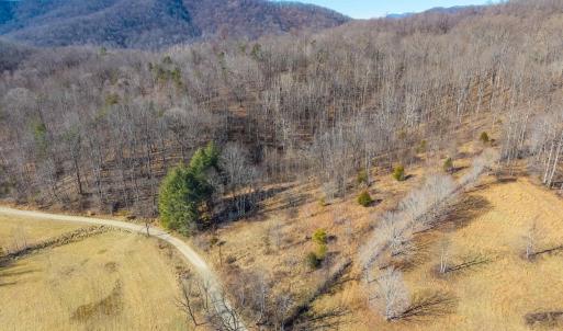 Photo #22 of PERKINS HOLLOW LN, FABER, VA 42.7 acres