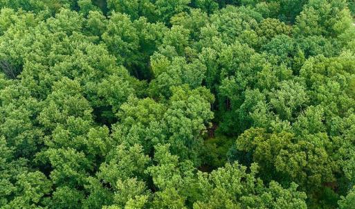 Photo #5 of 680 HIGHTOP DR, NORTH GARDEN, VA 2.8 acres