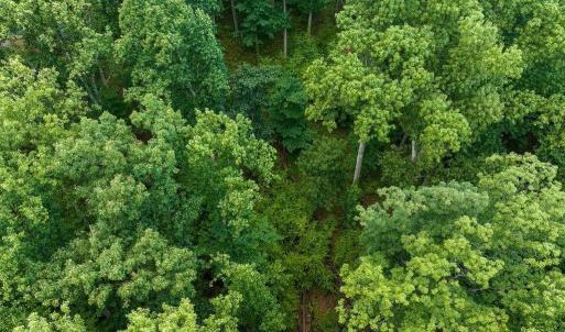 Photo #18 of 680 HIGHTOP DR, NORTH GARDEN, VA 2.8 acres