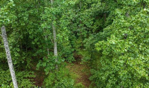 Photo #17 of 680 HIGHTOP DR, NORTH GARDEN, VA 2.8 acres