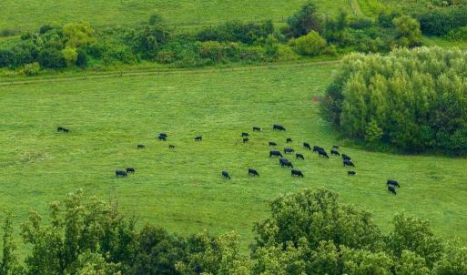 Photo #10 of 680 HIGHTOP DR, NORTH GARDEN, VA 2.8 acres