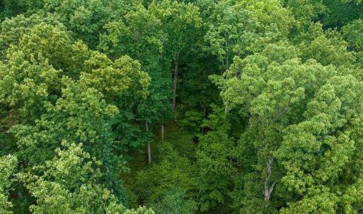 Photo #19 of 680 HIGHTOP DR, NORTH GARDEN, VA 2.8 acres