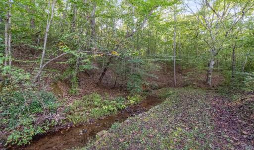 Photo #17 of MAYO CREEK LN, WINGINA, VA 30.0 acres