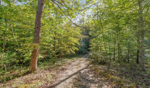 Photo #16 of MAYO CREEK LN, WINGINA, VA 30.0 acres