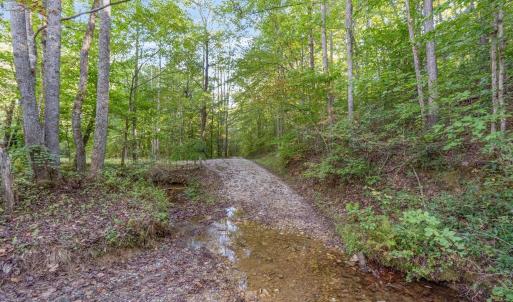 Photo #10 of MAYO CREEK LN, WINGINA, VA 30.0 acres