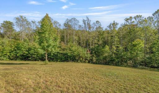 Photo #7 of MAYO CREEK LN, WINGINA, VA 30.0 acres