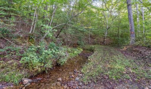 Photo #9 of MAYO CREEK LN, WINGINA, VA 30.0 acres