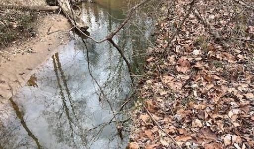 Photo #2 of OLD SAND RD, OLD DOMINION, VA 9.0 acres