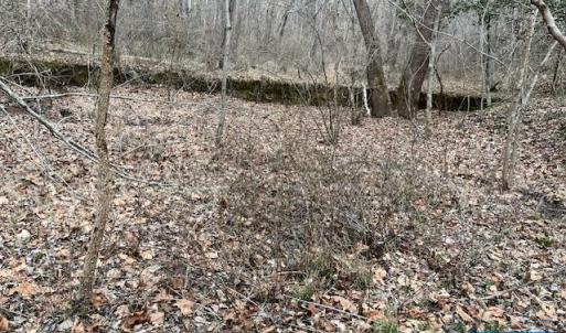 Photo #1 of OLD SAND RD, OLD DOMINION, VA 9.0 acres