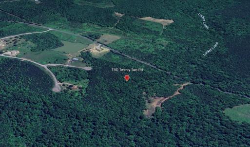 Photo #10 of Lot 25 TWENTY TWO RD, PAMPLIN, VA 10.1 acres