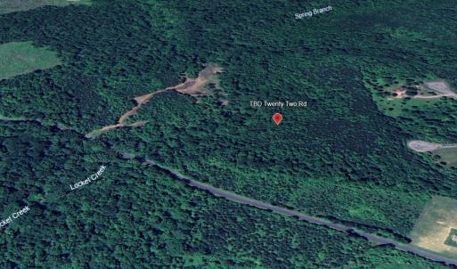 Photo #9 of Lot 25 TWENTY TWO RD, PAMPLIN, VA 10.1 acres