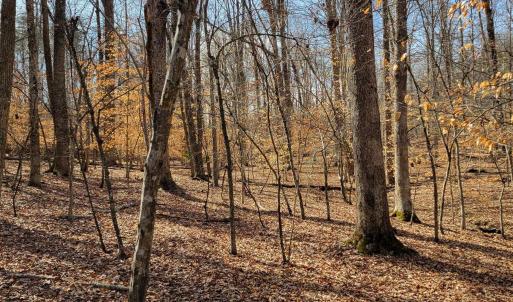 Photo #6 of LEXIE LN, PALMYRA, VA 14.3 acres