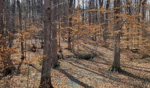 Photo #3 of LEXIE LN, PALMYRA, VA 14.3 acres