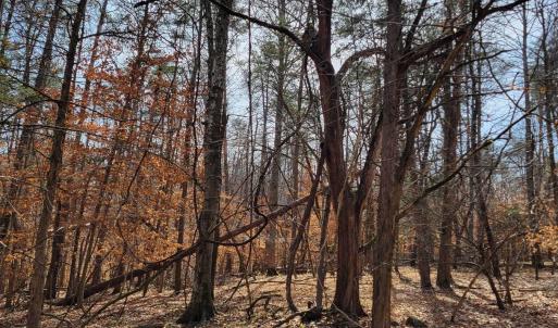 Photo #9 of LEXIE LN, PALMYRA, VA 14.3 acres