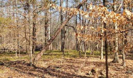 Photo #10 of LEXIE LN, PALMYRA, VA 14.3 acres