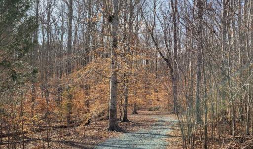 Photo #2 of LEXIE LN, PALMYRA, VA 14.3 acres