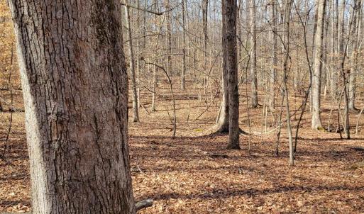 Photo #7 of LEXIE LN, PALMYRA, VA 14.3 acres