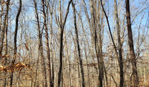 Photo #5 of LEXIE LN, PALMYRA, VA 14.3 acres
