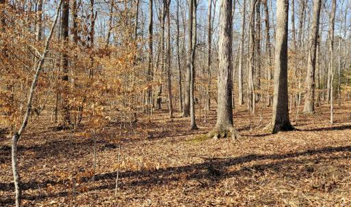 Photo #4 of LEXIE LN, PALMYRA, VA 14.3 acres