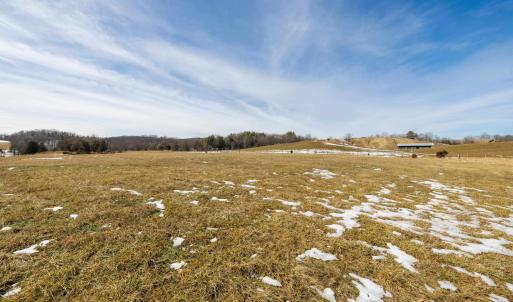 Photo #6 of 14.07 ac CREEK BED LN, FULKS RUN, VA 14.1 acres