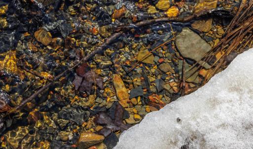 Photo #14 of 14.07 ac CREEK BED LN, FULKS RUN, VA 14.1 acres