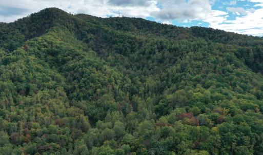 Photo #2 of TBD DAVIS CREEK LN, LOVINGSTON, VA 11.0 acres