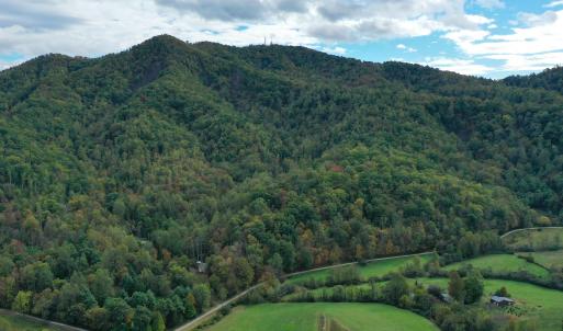 Photo #3 of TBD DAVIS CREEK LN, LOVINGSTON, VA 11.0 acres