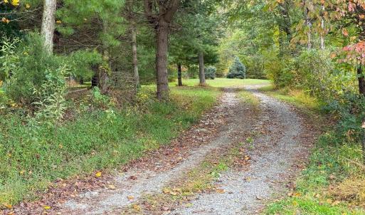 Photo #5 of TBD DAVIS CREEK LN, LOVINGSTON, VA 11.0 acres
