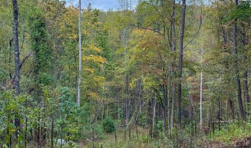 Photo #4 of TBD DAVIS CREEK LN, LOVINGSTON, VA 11.0 acres