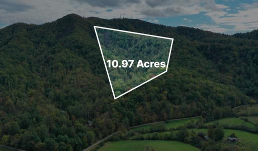 Photo #1 of TBD DAVIS CREEK LN, LOVINGSTON, VA 11.0 acres