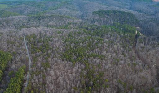 Photo #33 of TBD CARTER RD, SCHUYLER, VA 21.0 acres