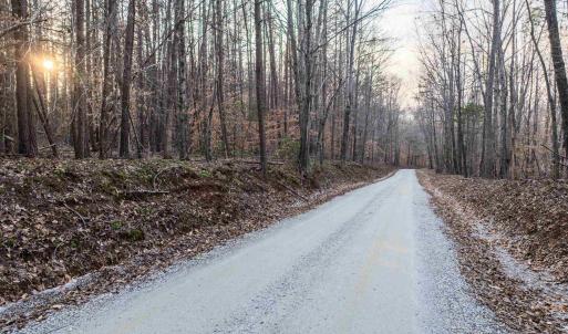 Photo #4 of TBD CARTER RD, SCHUYLER, VA 21.0 acres