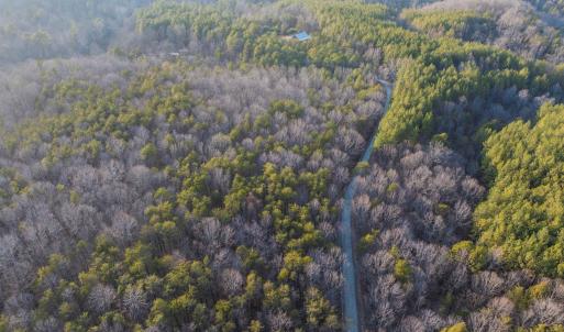 Photo #20 of TBD CARTER RD, SCHUYLER, VA 21.0 acres