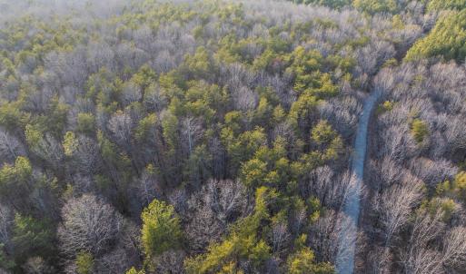 Photo #18 of TBD CARTER RD, SCHUYLER, VA 21.0 acres