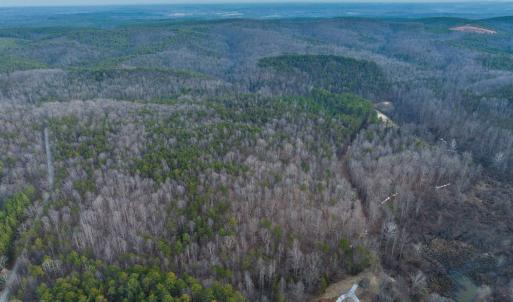 Photo #35 of TBD CARTER RD, SCHUYLER, VA 21.0 acres